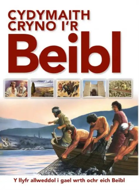 Cydymaith Cryno i'r Beibl by Terry Jean Day