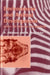 Environment and Animal Development: Genes, Life Histories and Plasticity by D. Atkinson