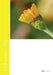 OCR Level 1 ITQ - Unit 69 - Spreadsheet Software Using Microsoft Excel 2007 by Sam Wilkin