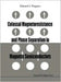 Colossal Magnetoresistance and Phase Separation in Magnetic Semiconductors by Eduard L. Nagaev