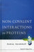 Non-Covalent Interactions in Proteins by Andrey Karshikoff