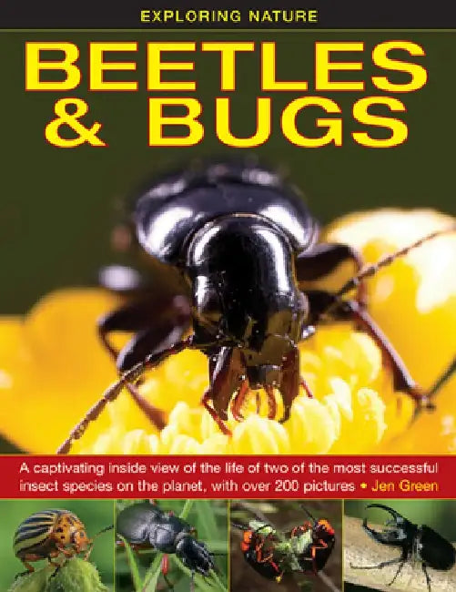 Exploring Nature: Beetles & Bugs: A Captivating Inside View of the Life of Two of the Most Successful Insect Species on the Planet, with Over 200 Pict by Jen Green