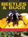 Exploring Nature: Beetles & Bugs: A Captivating Inside View of the Life of Two of the Most Successful Insect Species on the Planet, with Over 200 Pict by Jen Green