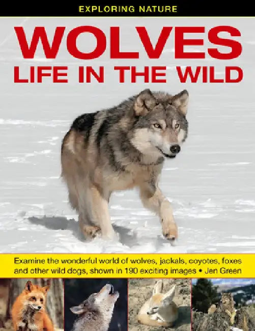 Exploring Nature: Wolves - Life in the Wild: Examine the Wonderful World of Wolves, Jackals, Coyotes, Foxes and Other Wild Dogs, Shown in 190 Exciting by Jen Green