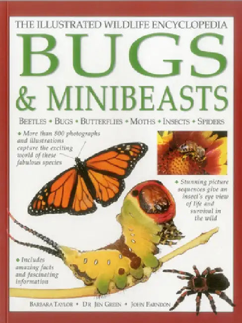 The Illustrated Wildlife Encyclopedia: Bugs & Minibeasts: Beetles, Bugs, Butterflies, Moths, Insects, Spiders by Barbara Taylor