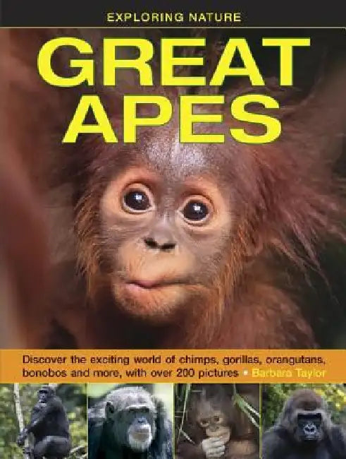 Exploring Nature: Great Apes: Discover the Exciting World of Chimps, Gorillas, Orangutans, Bonobos and More, with Over 200 Pictures by Barbara Taylor