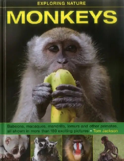 Monkeys: Baboons, Macaques, Mandrills, Lemurs and Other Primates, All Shown in More Than 180 Enticing Photographs by Tom Jackson
