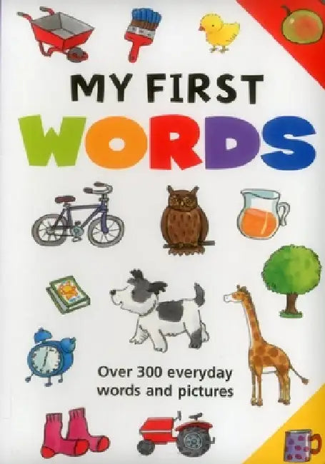 My First Words: Over 300 Everyday Words and Pictures by Jan Lewis