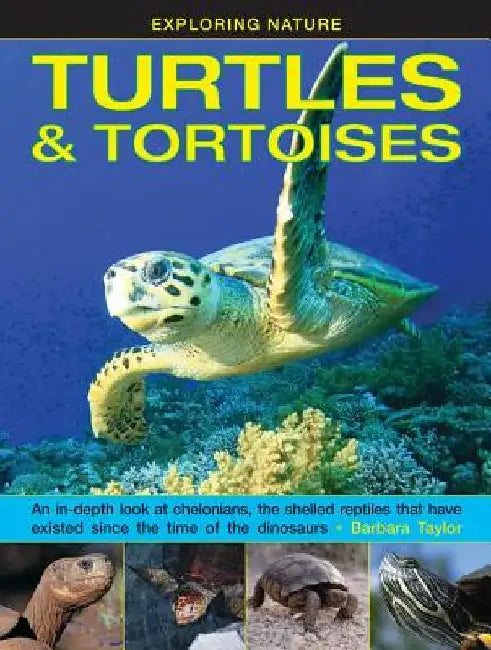 Exploring Nature: Turtles & Tortoises: An In-Depth Look at Chelonians, the Shelled Reptiles That Have Existed Since the Time of the Dinosaurs by Barbara Taylor