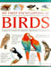 My First Encylopedia of Birds: A First Encyclopedia with Supersize Pictures by Matt Bugler