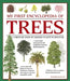 My First Encyclopedia of Trees: A Great Big Book of Amazing Plants to Discover by Richard McGinlay