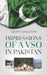 Impressions Of A Vso In Pakistan
