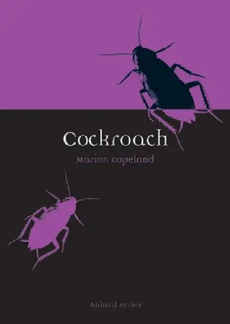 Cockroach by Marion Copeland