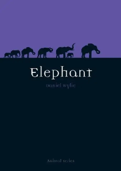 Elephant by Dan Wylie