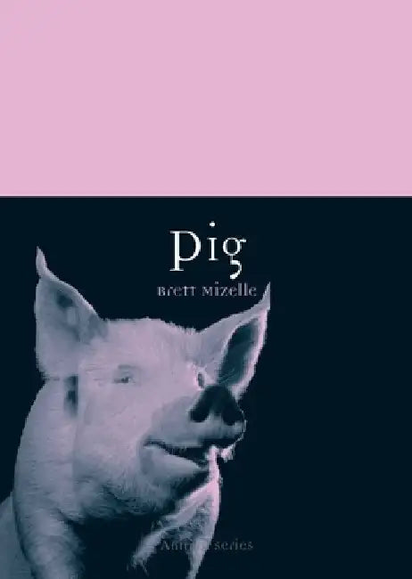 Pig by Brett Mizelle