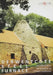 Derwentcote Steel Furnace: An Industrial Monument in County Durham by D. Cranstone