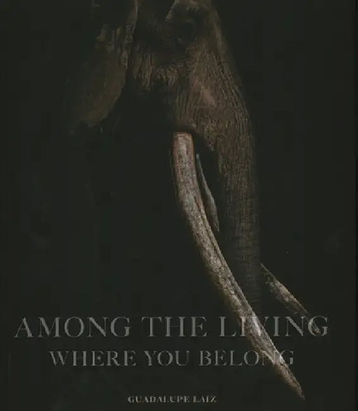 Among the Living: Where You Belong by Guadalupe Laiz