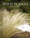 Wild Plants in Auckland by Alan Esler