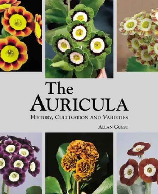 Auricula: History, Cultivation and Varieties by Allan Guest