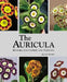 Auricula: History, Cultivation and Varieties by Allan Guest