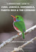 A Birdwatchers' Guide to Cuba, Jamaica, Hispaniola, Puerto Rico and the Caymans: Site Guide by Guy Kirwan, Arturo Kirkconnell, Mike Flieg