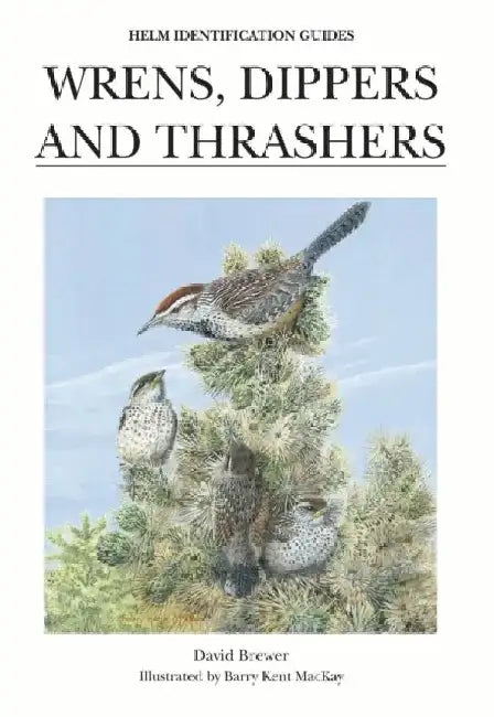 Wrens, Dippers and Thrashers by David Brewer