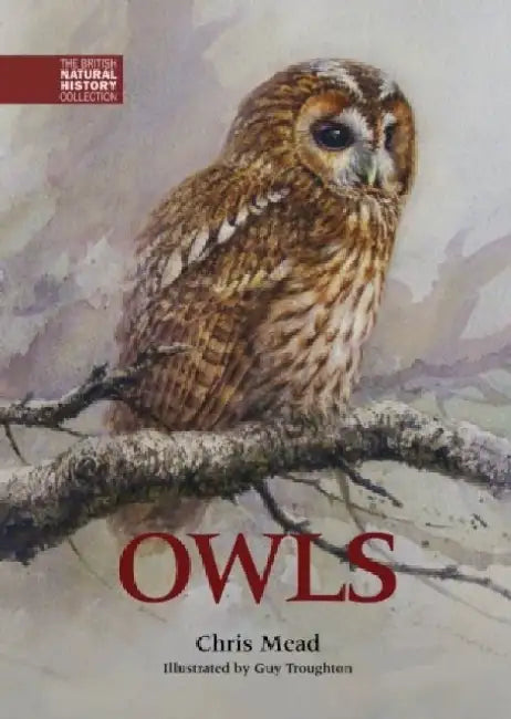 Owls by Chris Mead
