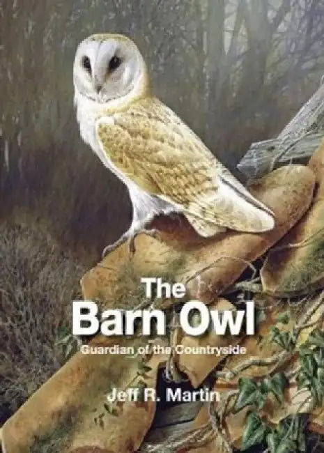 The Barn Owl by Jeff Martin