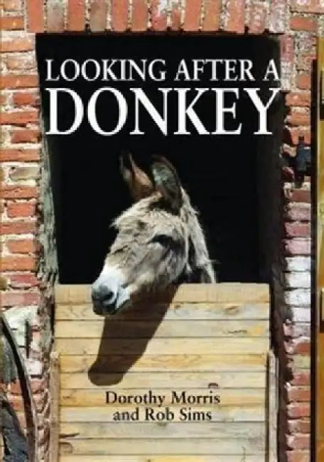Looking After a Donkey by Dorothy Morris