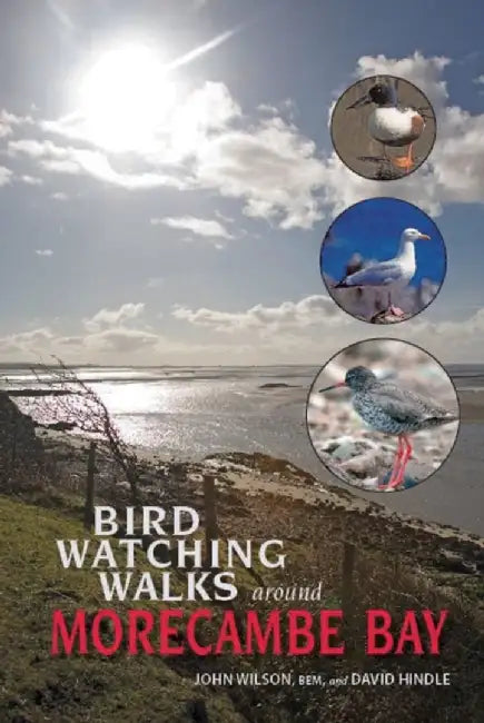 Birdwatching Walks Around Morecambe Bay by John Wilson