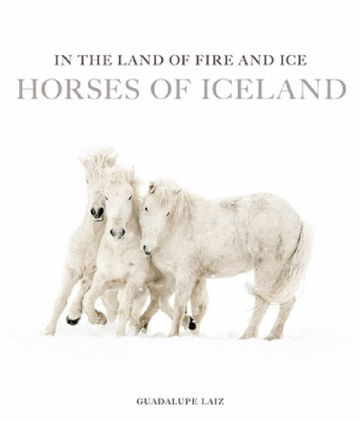 In the Land of Fire and Ice: Horses of Iceland by Guadalupe Laiz, Thrainn Kolbeinsson, Berglind Margo þOrvaldsdóttir