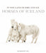 In the Land of Fire and Ice: Horses of Iceland by Guadalupe Laiz, Thrainn Kolbeinsson, Berglind Margo þOrvaldsdóttir