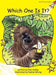 Which One Is It? by Pam Holden, Pauline Whimp