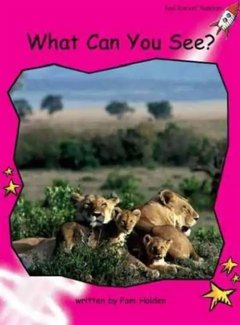 What Can You See? by Pam Holden