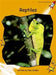 Reptiles by Pam Holden
