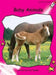 Baby Animals by Pam Holden
