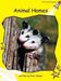 Animal Homes by Pam Holden