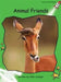 Animal Friends by John Lockyer