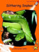 Slithering Snakes by Pam Holden