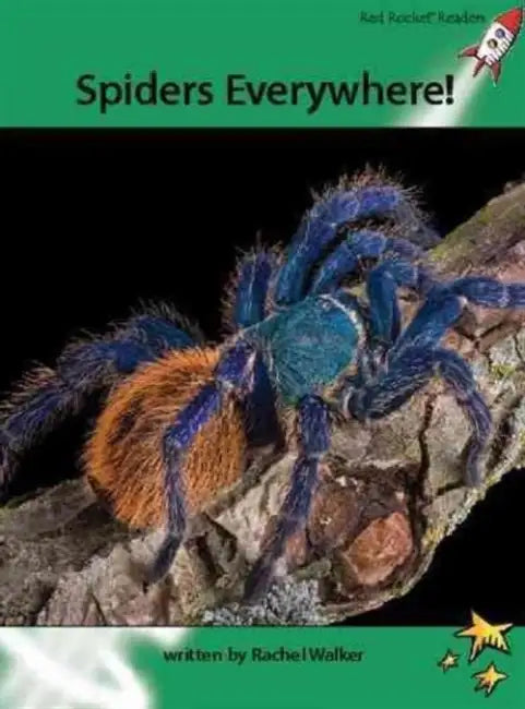 Spiders Everywhere! by Rachel Walker