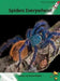 Spiders Everywhere! by Rachel Walker