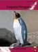 Emperor Penguins by Rachel Walker