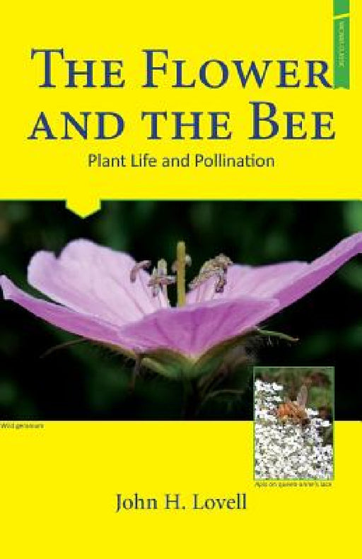 The Flower and The Bee by John H. Lovell