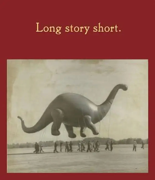 Long Story Short by Jeffrey Fraenkel