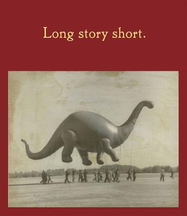 Long Story Short by Jeffrey Fraenkel
