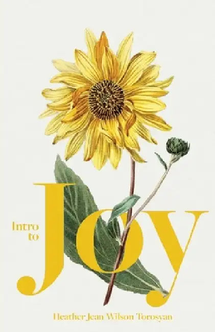 Intro to Joy by Ararat Torosyan
