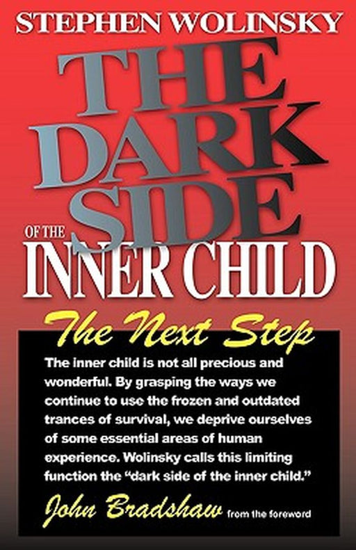 Dark Side Of The Inner Child by Stephen Wolinsky