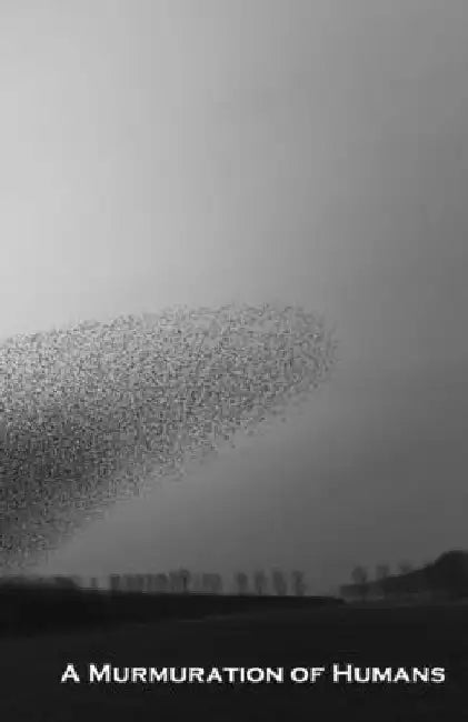 A Murmuration of Humans by T. L. Hulsey