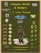 United States Army Vietnam Insignia, Rank and Badges by Foster, Col Frank C.