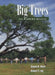 Big Trees: The Florida Register by Daniel B. Ward, Robert T. Ing